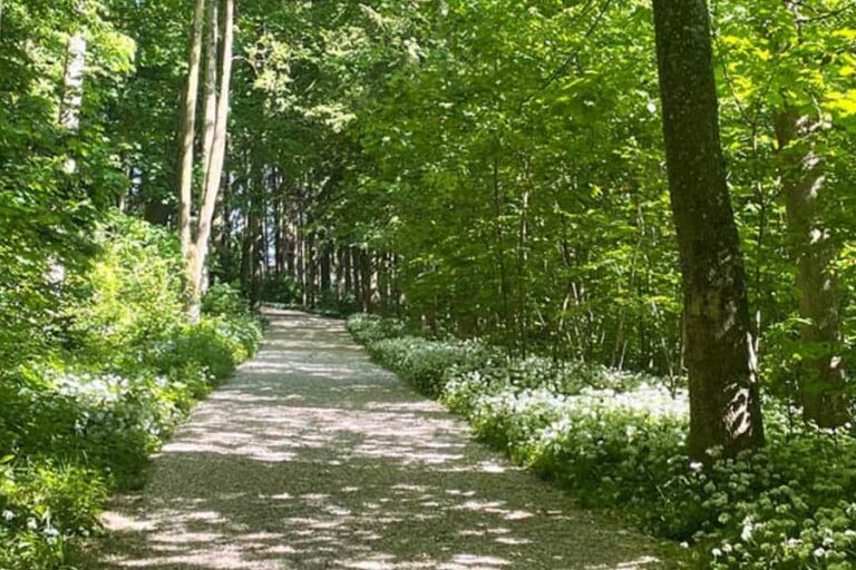 Stress Beruf Alltag Beziehung Mentaltraining