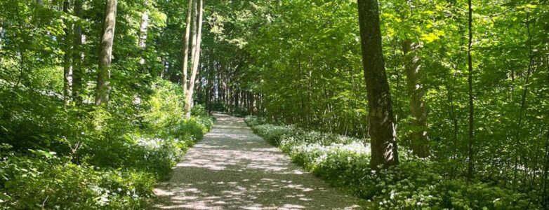 Stress Beruf Alltag Beziehung Mentaltraining